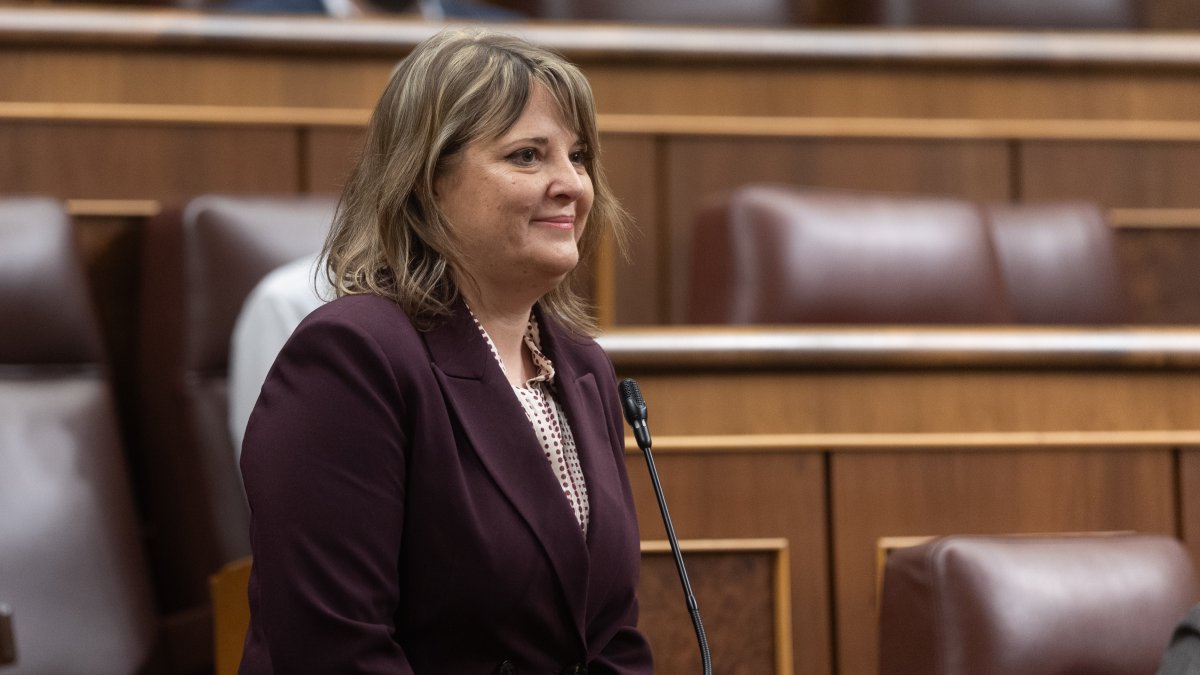 La diputada del PSOE que sustituye a José Luis Ábalos, Ana María González, jura su cargo en el Congreso.
