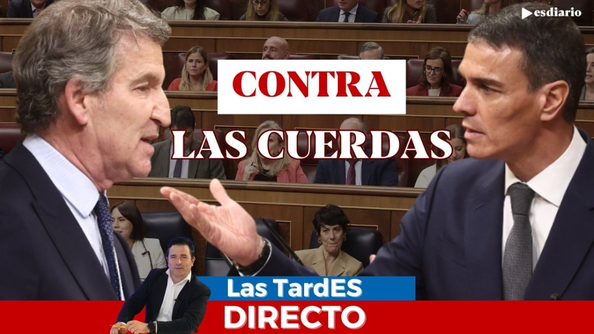 •Para más contenido, síguenos en:
◆X: https://twitter.com/ESdiario_com
◆FaceBook: https://www.facebook.com/esdiario/
◆Instagram: https://www.instagram.com/esdiariocom/