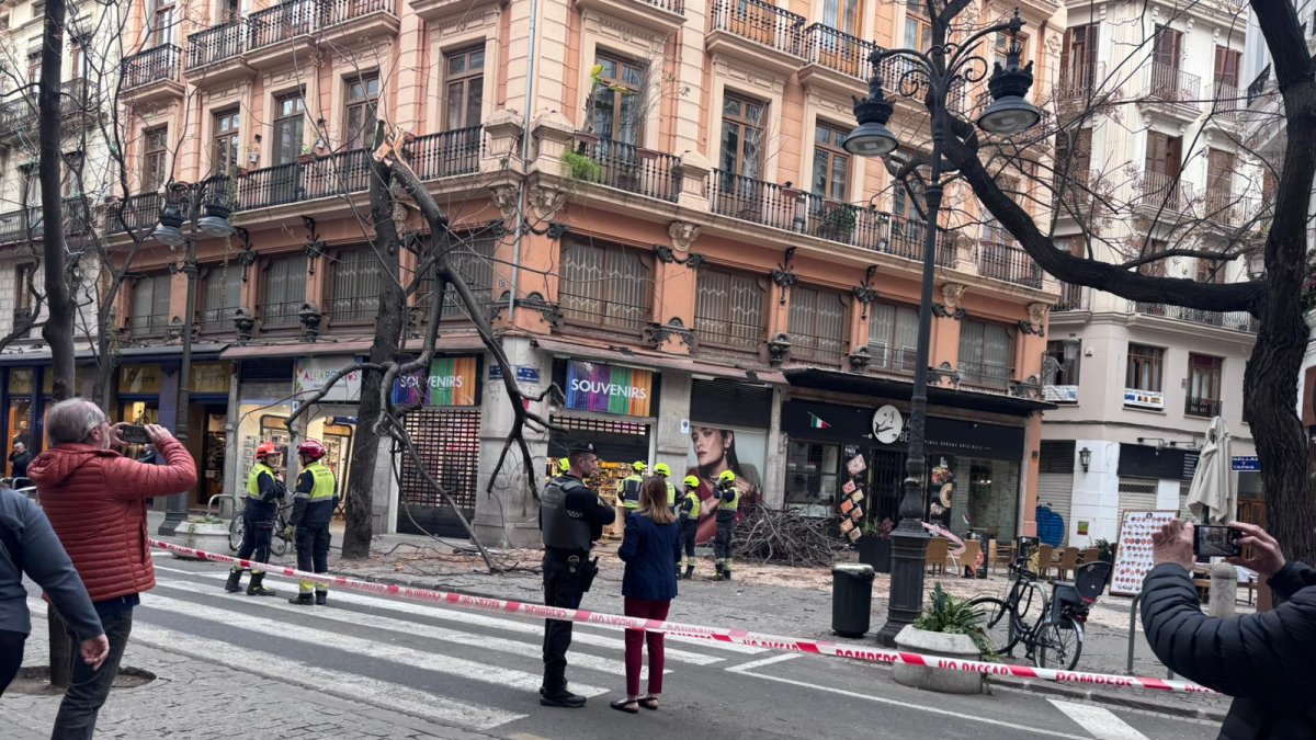 Arbol caído por el viento en pleno centro de Valencia