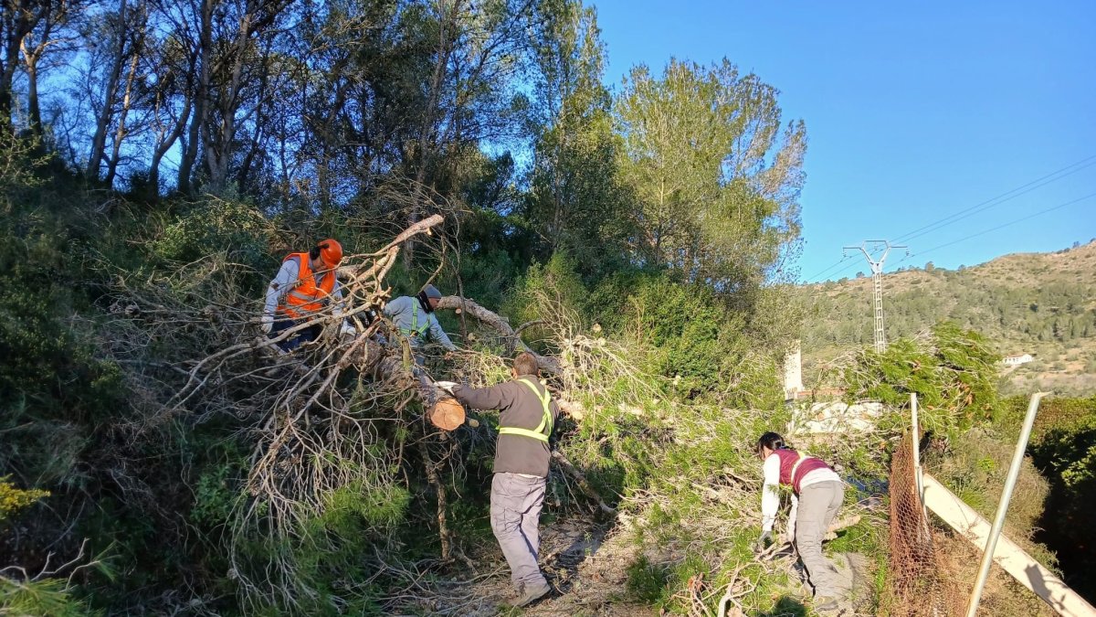 Incidentes en Xàtiva 