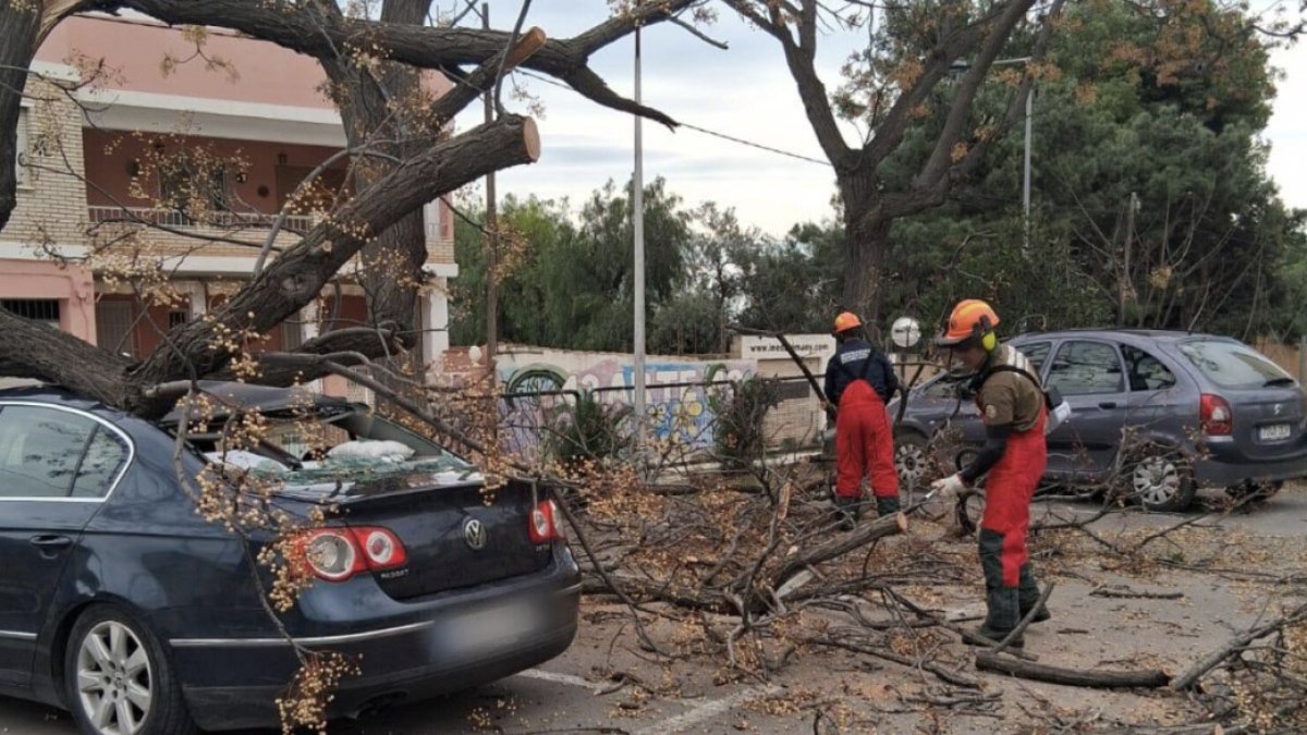 Bomberos de Valencia actúan por el temporal de viento