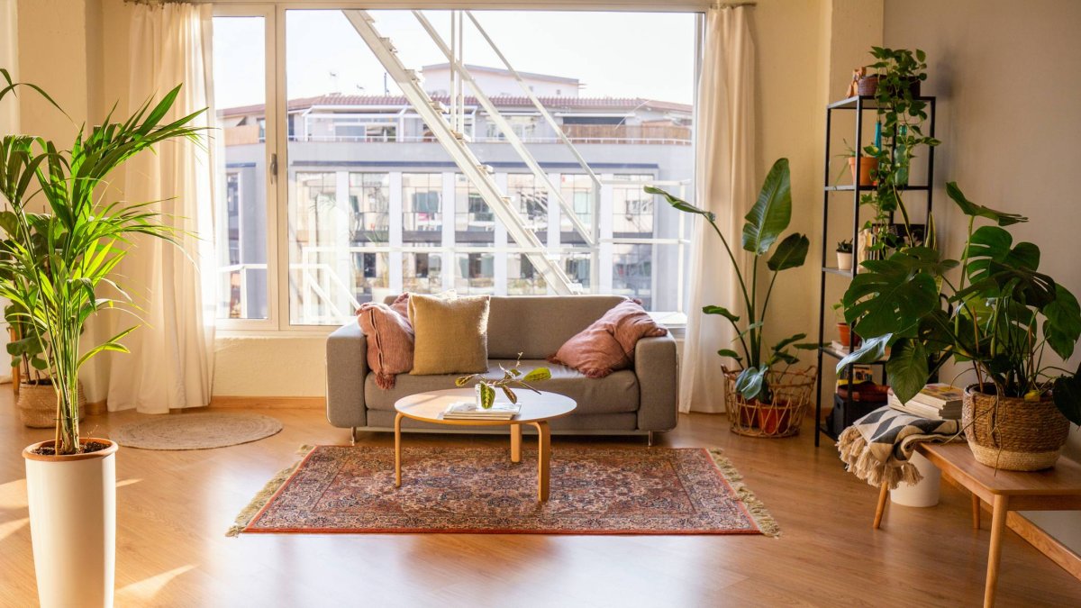 Un salón bañado por luz natural donde las plantas y los textiles cálidos crean un ambiente equilibrado y acogedor, ideal para aplicar principios de armonización del espacio