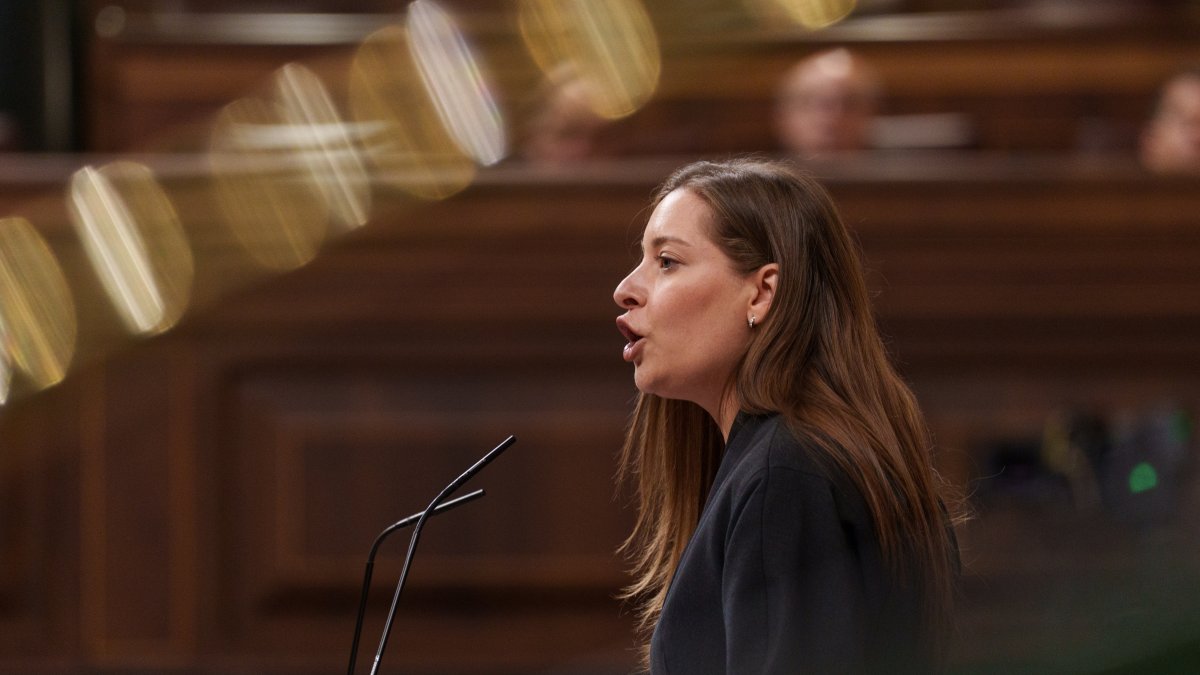 La portavoz del PP en el Congreso, Ester Muñoz, interviene durante una sesión plenaria en el Congreso de los Diputados, a 17 de febrero de 2026, en Madrid (España). 

Matias Chiofalo / Europa Press
17/2/2026