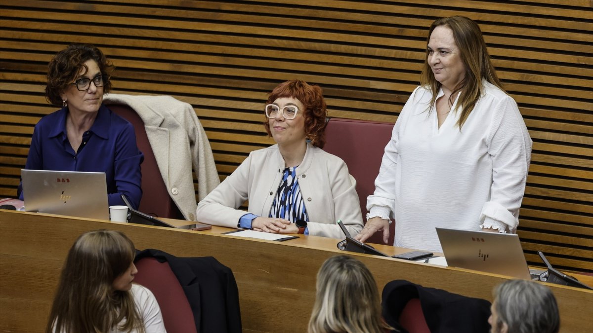 Raquel Cámara promete su cargo como nueva diputada del PSPV en Les Corts en sustitución de Sonia Borruey
ROBER SOLSONA/EUROPA PRESS
18/2/2026