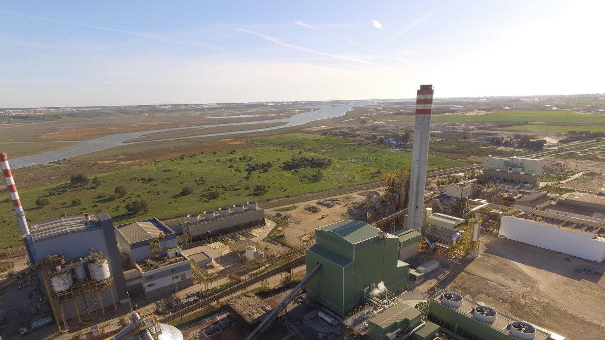 Planta de Magnon en Huelva