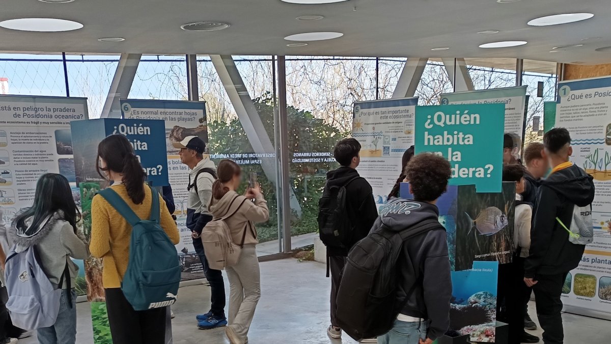 Escolares visitando la muestra en el Observatorio del Ayuntamiento de Alicante.