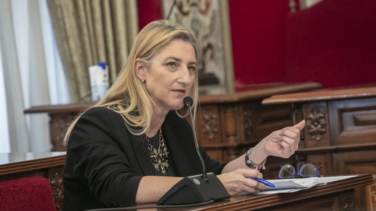La portavoz municipal del PP en Alicante, Mari Carmen de España.