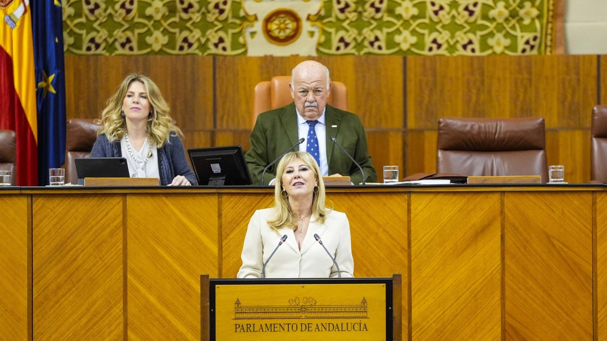 La consejera de Economía, Carolina España, este miércoles en el Pleno del Parlamento.