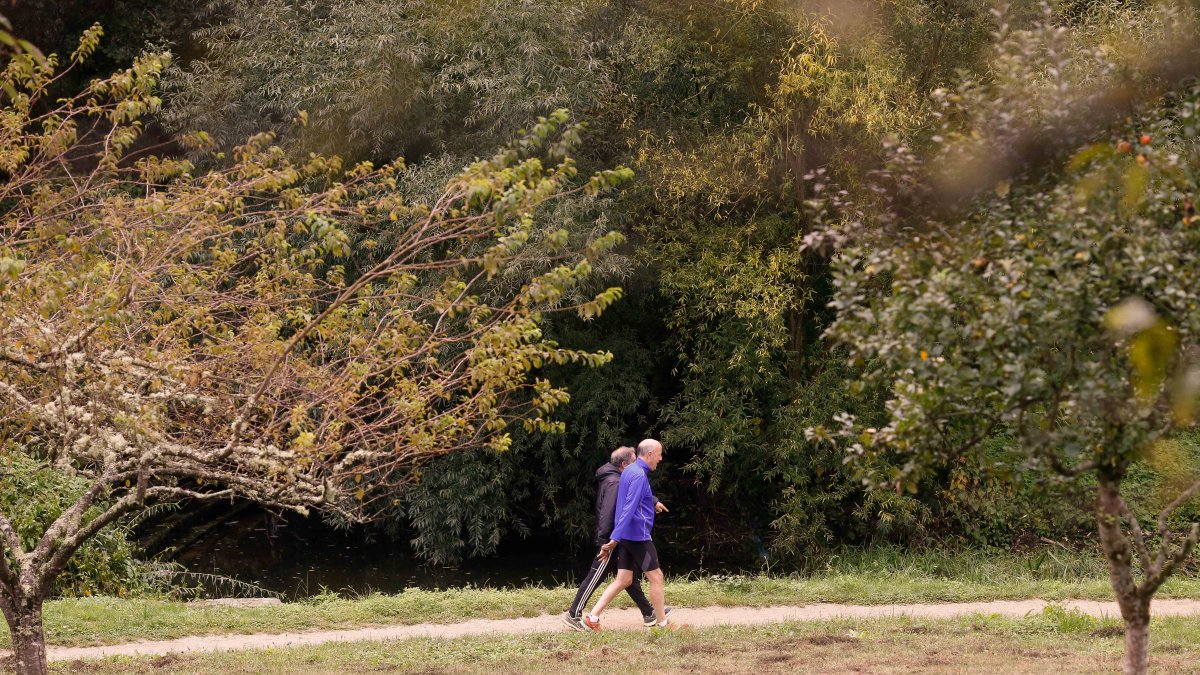 Dos personas caminan por un parque en Lugo, Galicia.