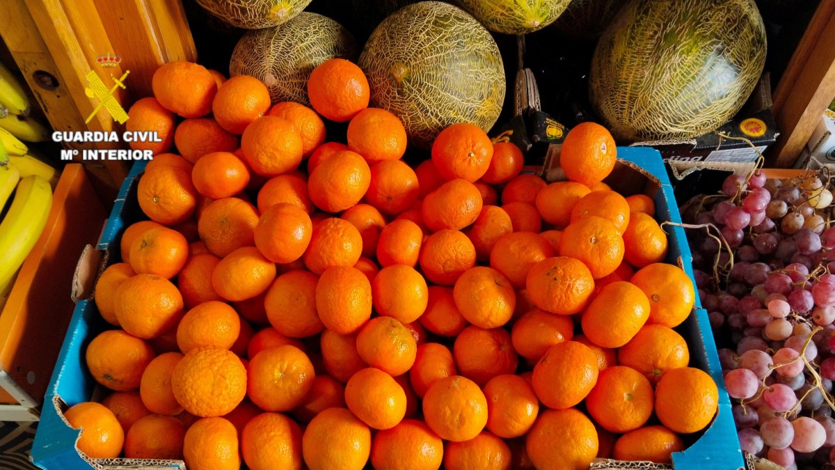 Investigado un hombre por vender fruta con albaranes falsos.