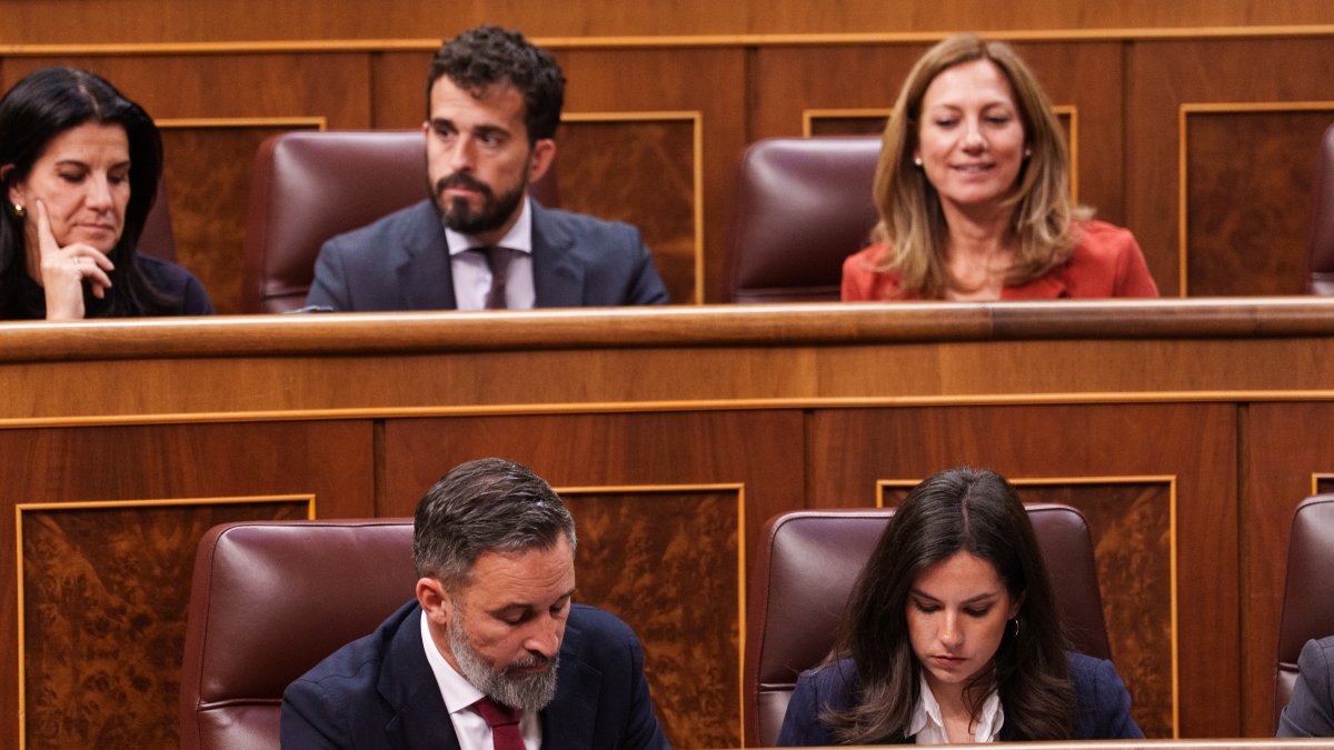 En la primera fila, el presidente de VOX, Santiago Abascal, y la portavoz de VOX en el Congreso, Pepa Millán, durante una sesión de control al Gobierno, en el Congreso de los Diputados