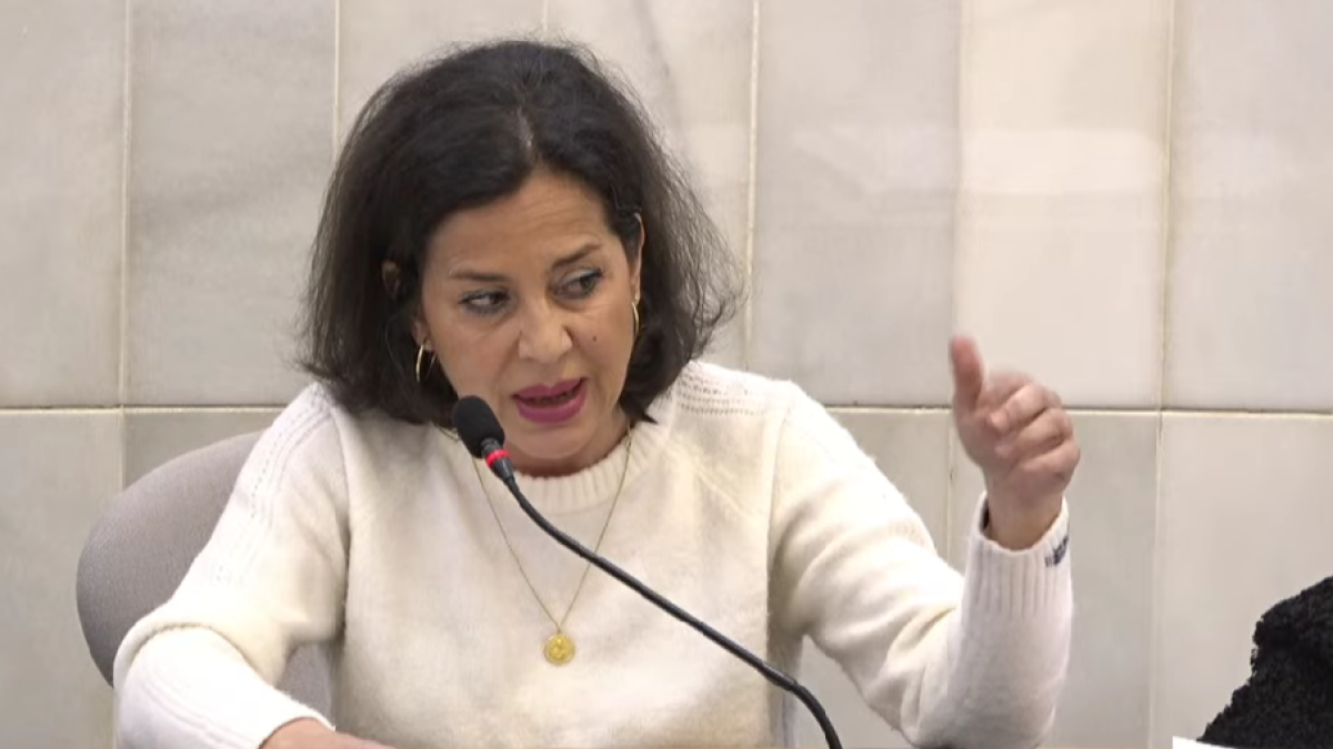 La portavoz de Vox en la Diputación de Alicante, Gema Alemán, en el pleno de este miércoles.