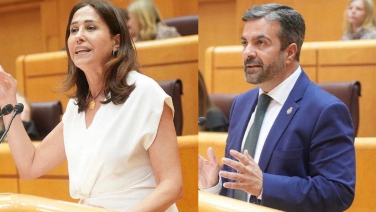 La iniciativa, defendida por los senadores Rosa Romero y Joaquín Camacho