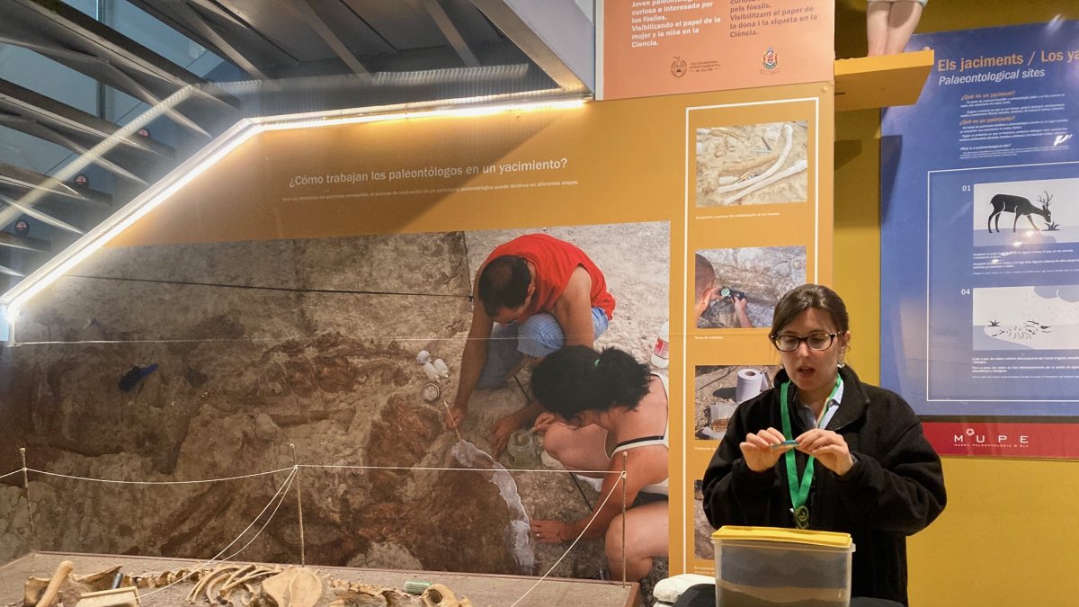 El Museo Paleontológico de Elche celebrará