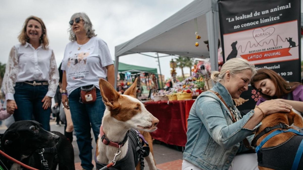Inauguración del XI Festival de la Adopción y el VII JOC Fest