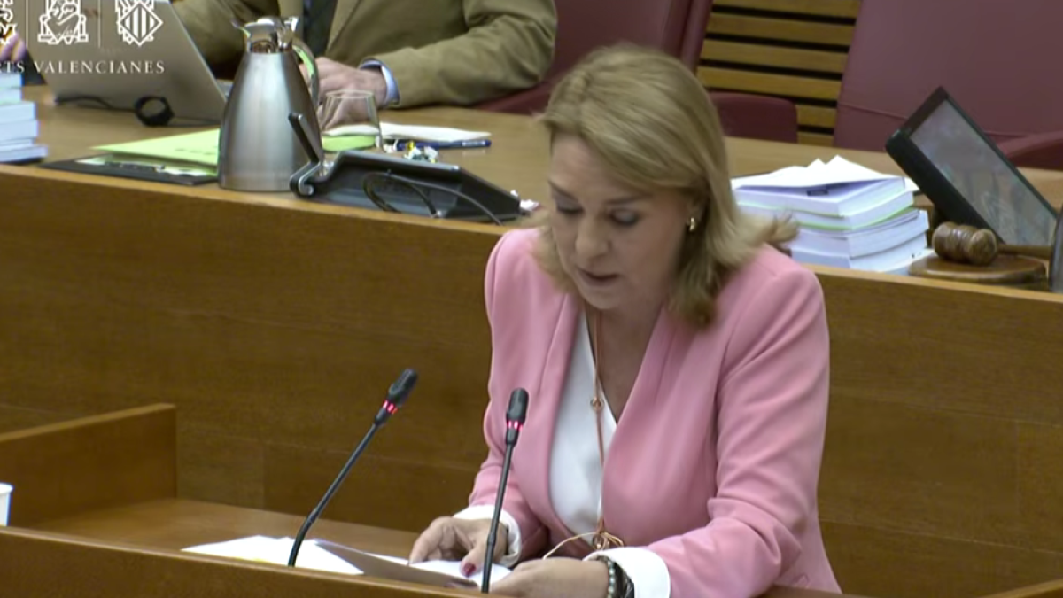 Susana Camarero, en el pleno de este jueves.