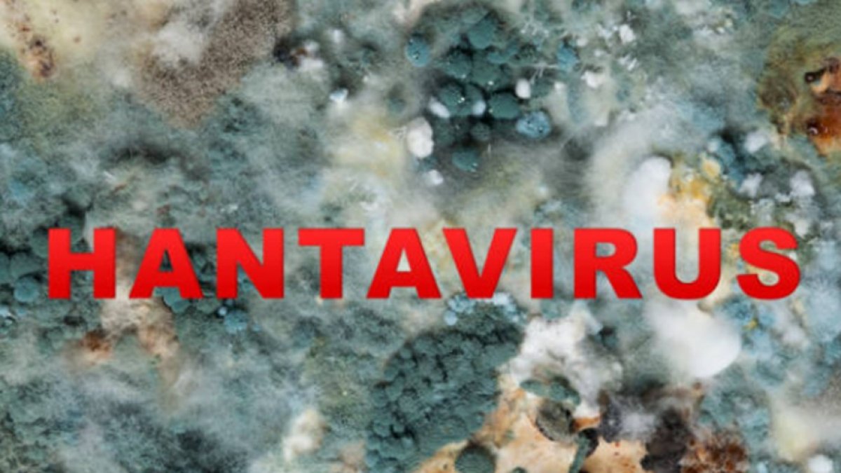Hantavirus