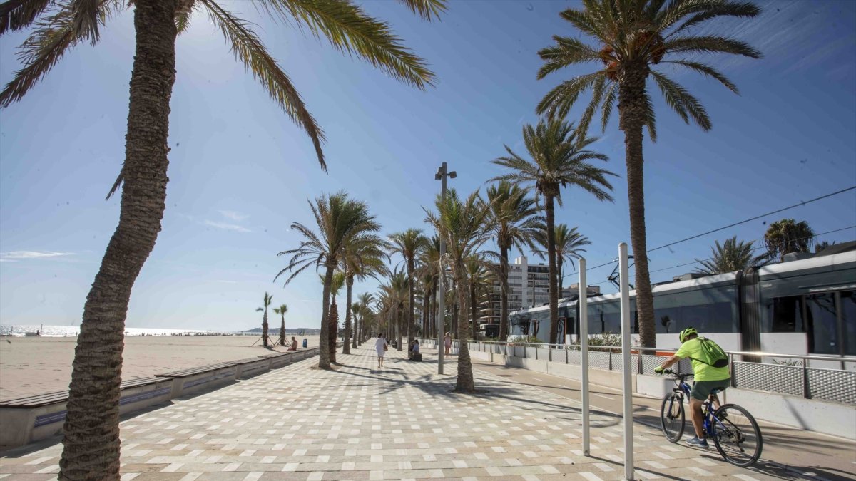 Playa de San Juan, en Alicante
REMITIDA / HANDOUT por AYUNTAMIENTO DE ALICANTE
Fotografía remitida a medios de comunicación exclusivamente para ilustrar la noticia a la que hace referencia la imagen, y citando la procedencia de la imagen en la firma
05/5/2026