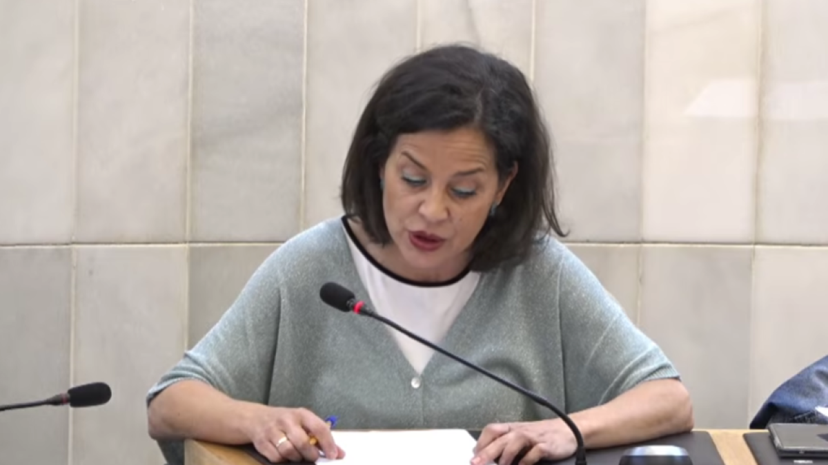 La diputada de Vox en la Diputación de Alicante, Gema Alemán, este miércoles.