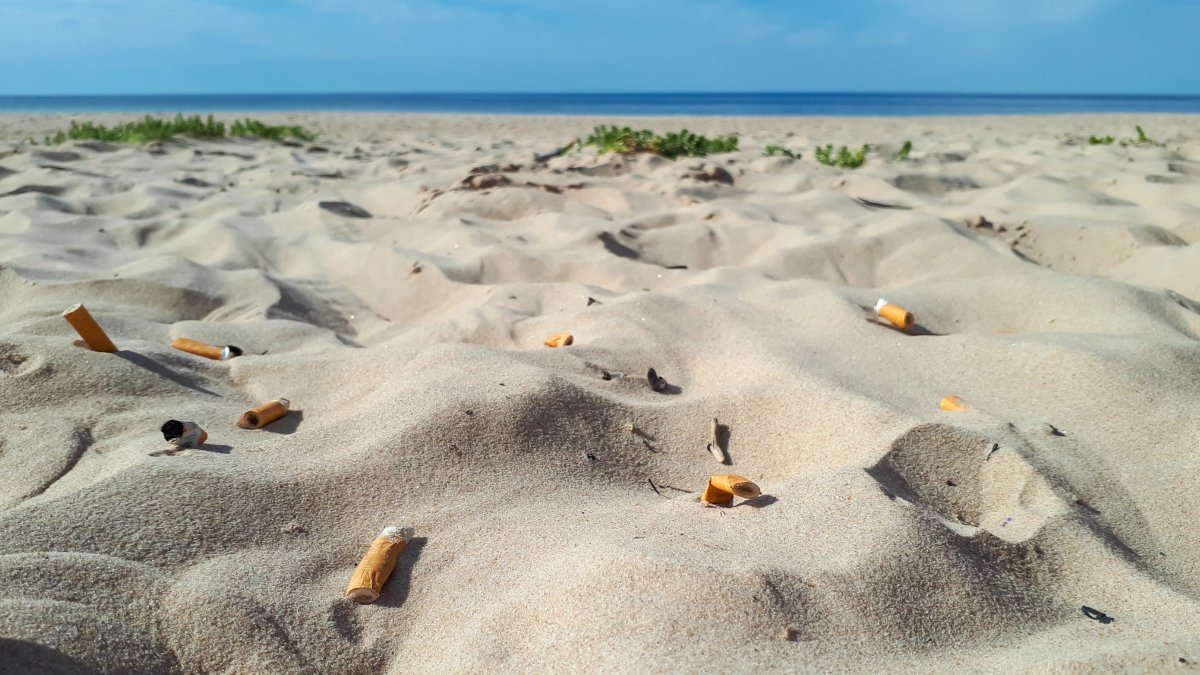 Colillas abandonadas sobre la arena de una playa.