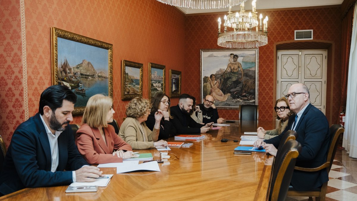Comisión del Ayuntamiento de Alicante sobre las VPP Les Naus.