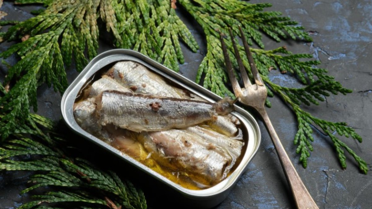 Lata de sardinas