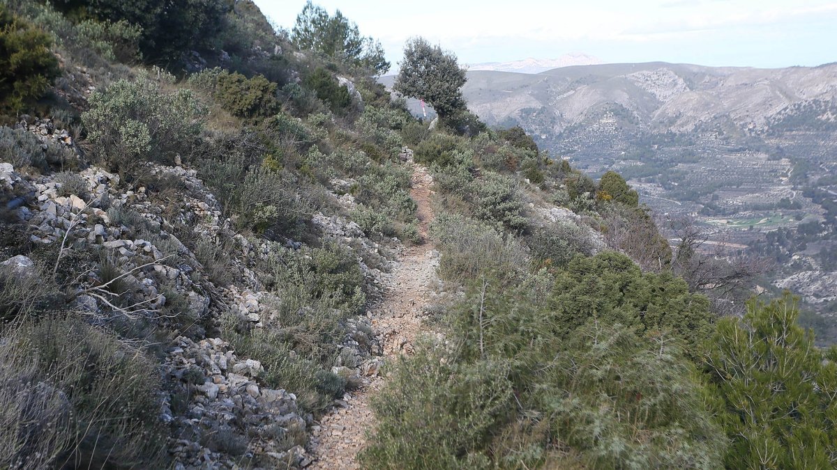 Imagen de un paise natural en Alicante.