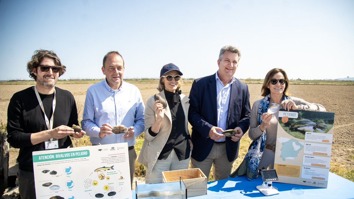 “Alianza por el Petxinot”, una iniciativa impulsada por la Fundación Oceanogràfic, la Fundación Aguas de Valencia y la Generalitat Valenciana.