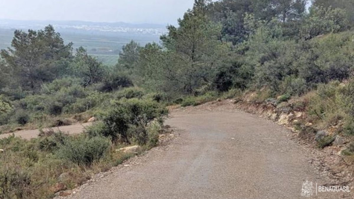 Pista forestal en Benaguasil.
