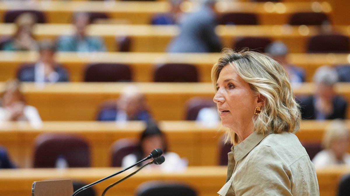 La portavoz del PP en el Senado,Alicia García