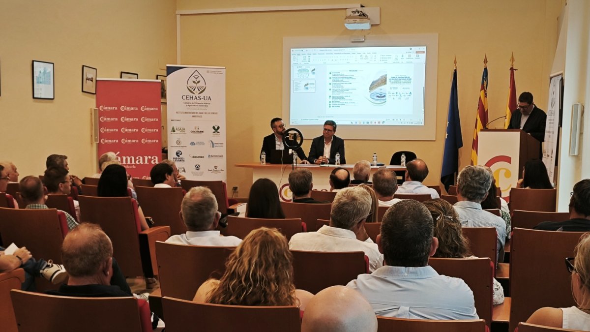 Jornada organizada por Cámara Orihuela.
