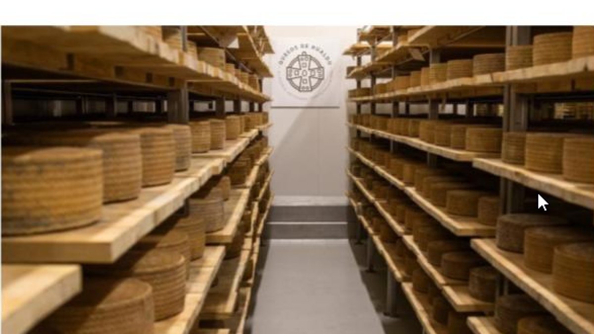 Así descansan estas maravillas de quesos para el deleite de todos los aficionados a un buen manchego.