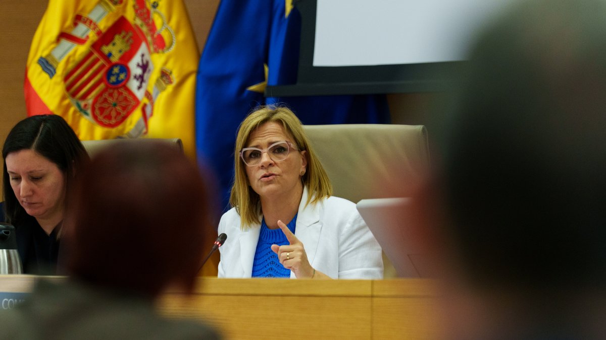 La delegada del Gobierno en la Comunidad Valenciana, Pilar Bernabé