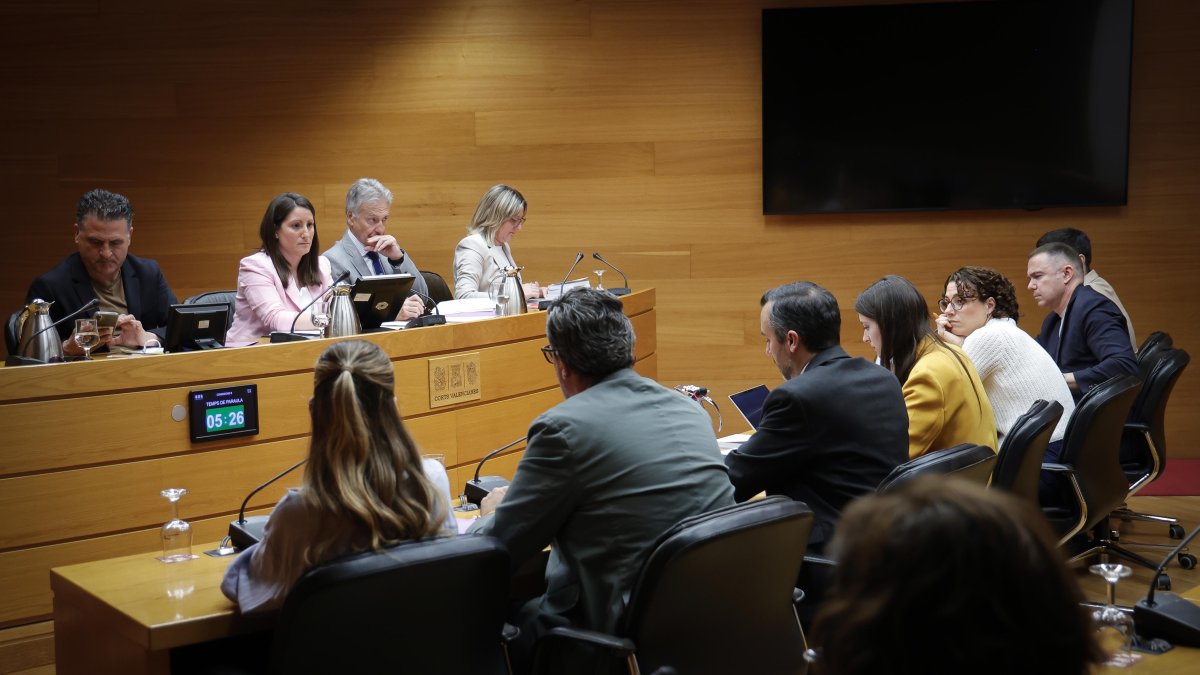 Comisión de investigación sobre las adjudicaciones de viviendas de protección pública (VPP).