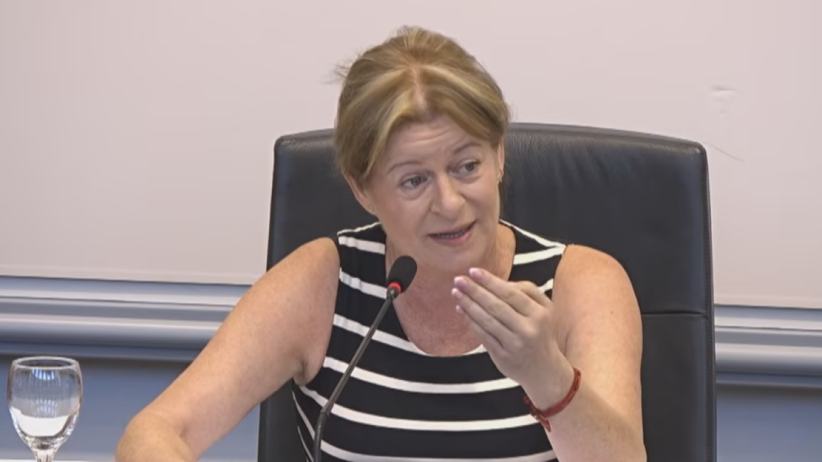 Ana Serna, durante el pleno de la Diputación de Alicante este miércoles.