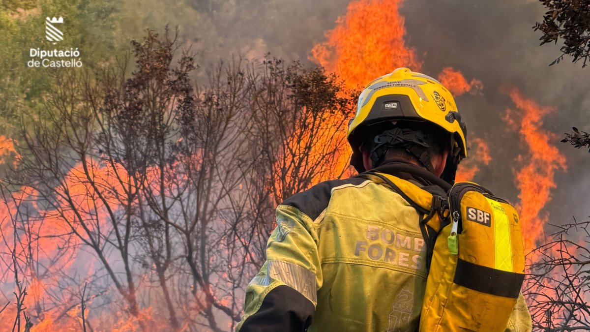 Incendio Soneja
