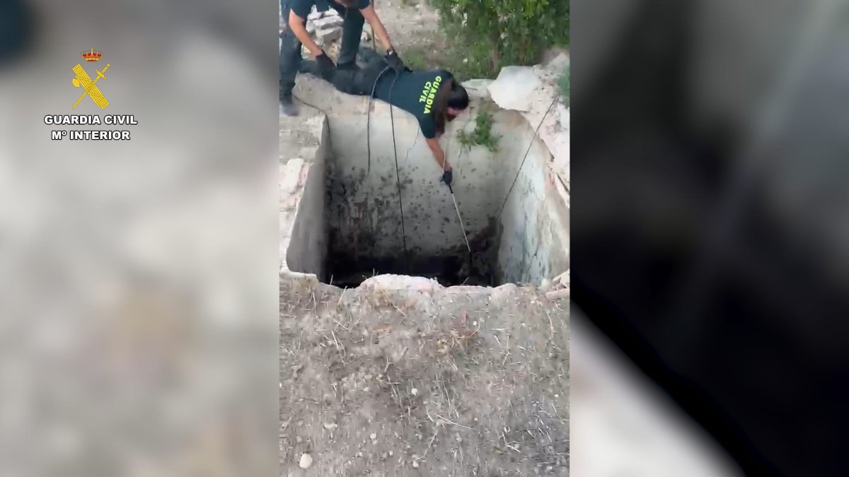 Operación de la Guardia Civil para la liberación del zorro.