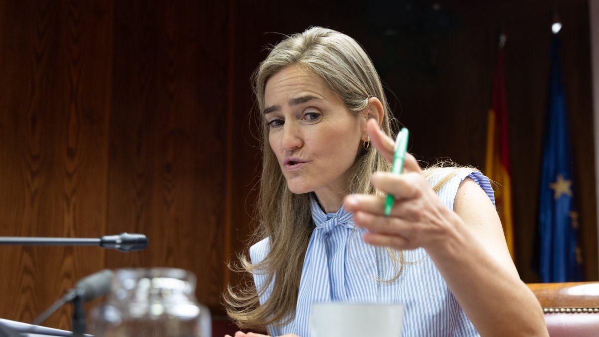 La Vicepresidenta Tercera del Gobierno y Ministra de Transición Ecológica, Sara Aagesen, 
