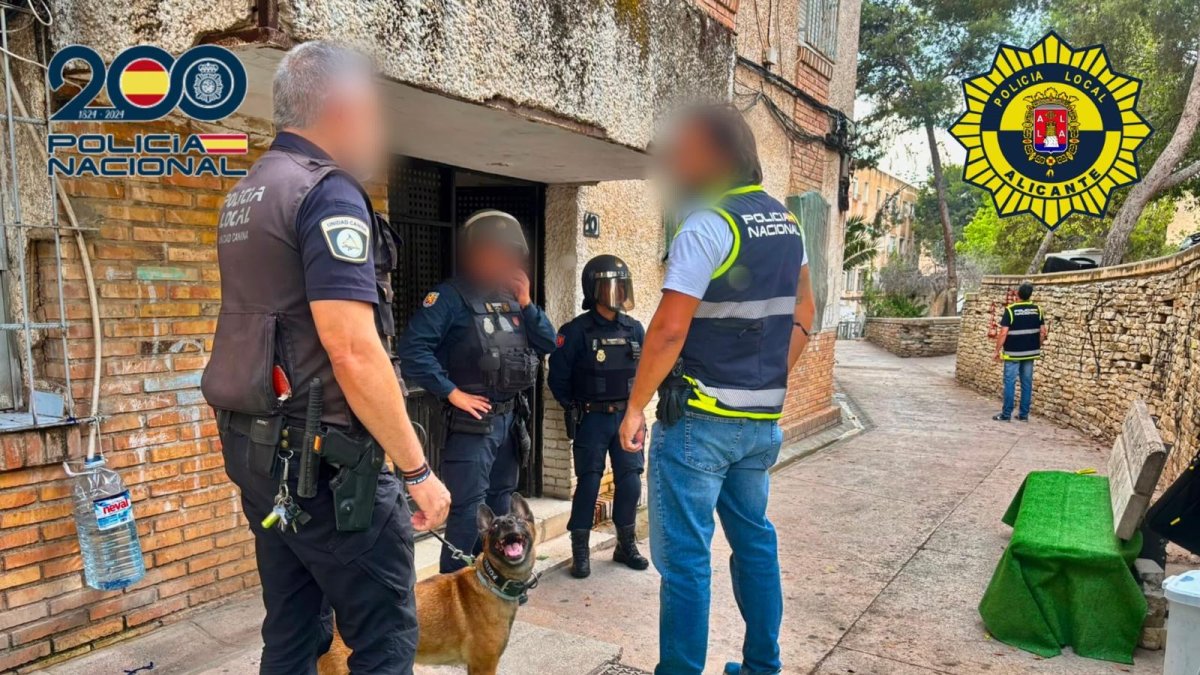 Operación antidroga en zona norte de Alicante.