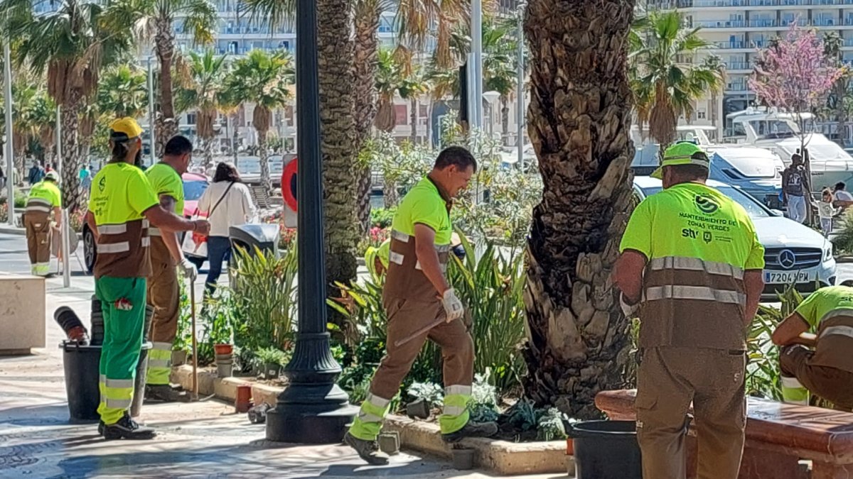 Trabajadores en uno de los jardines de Alicante.