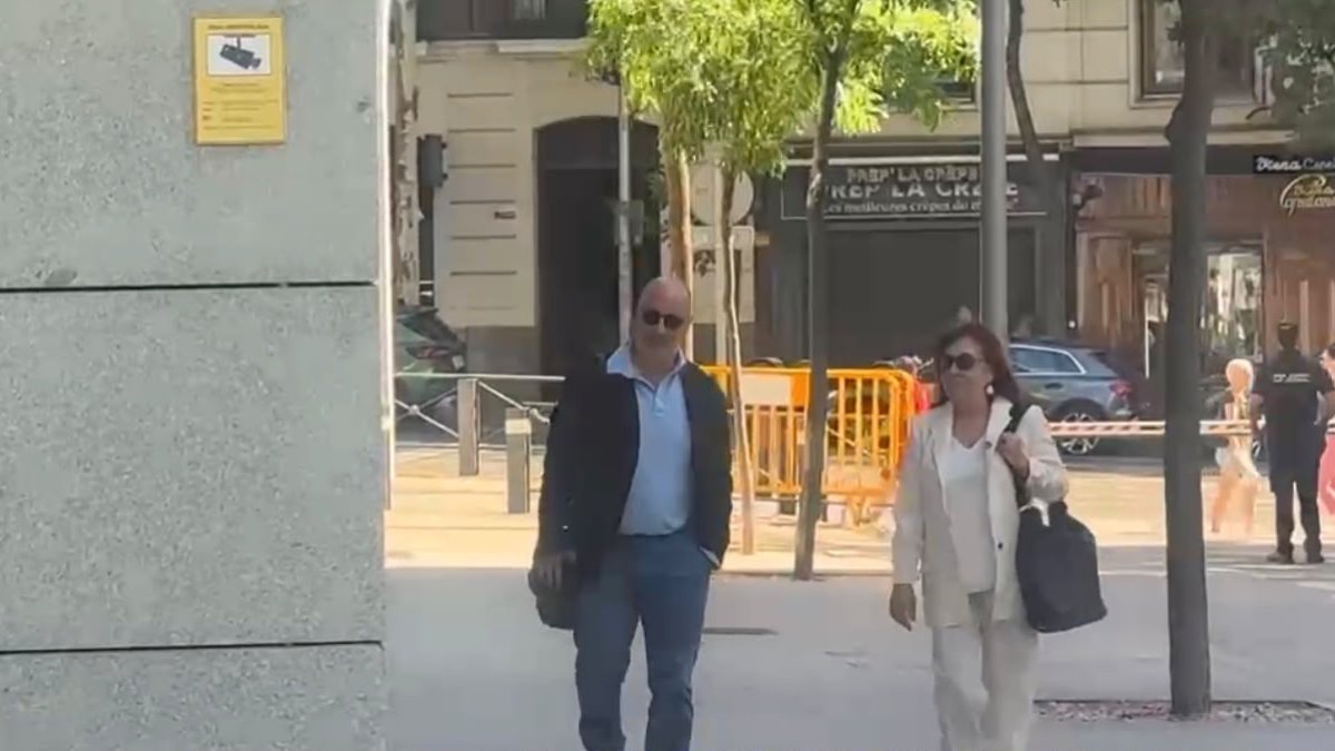 Cristina Narbona llegando a la Audiencia Nacional de Madrid, 15 de julio de 2026