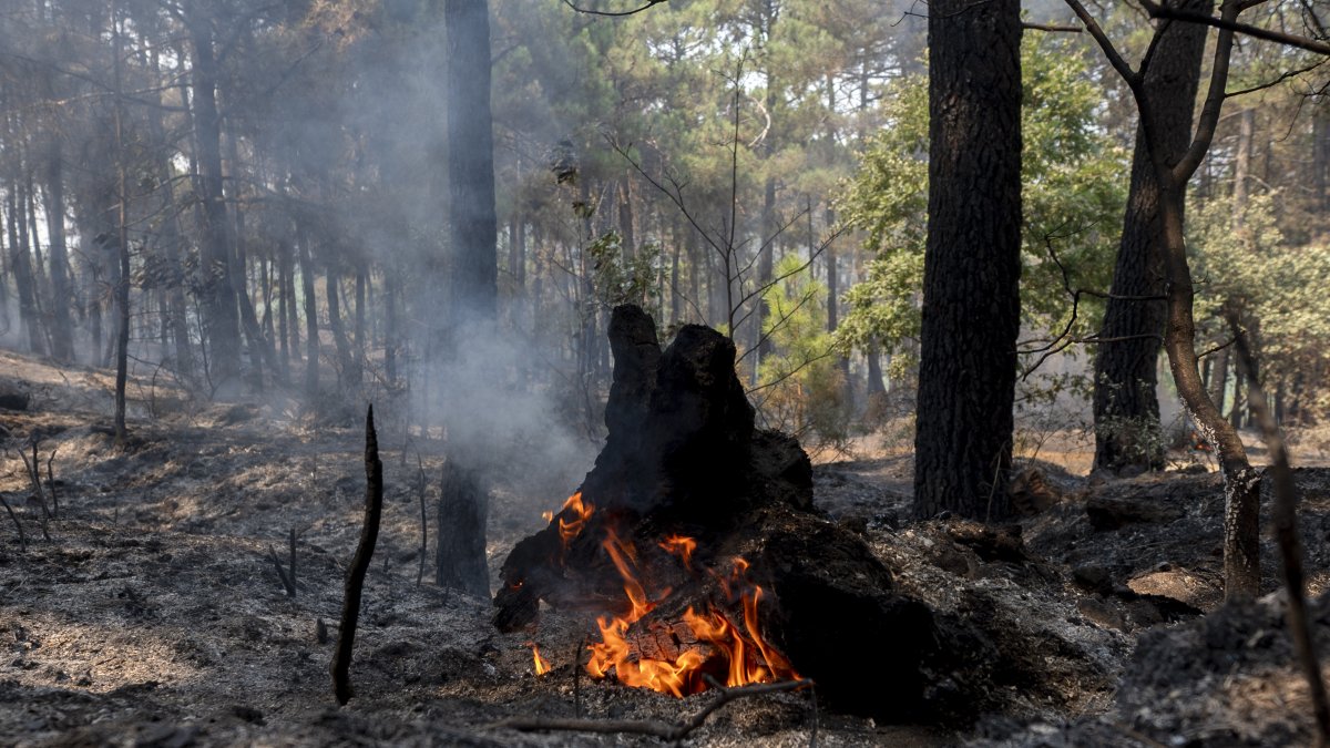 El incendio forestal de Burgohondo (Ávila) ha calcinado 55000 hectáreas convirtiéndose en el mayor incendio registrado en España