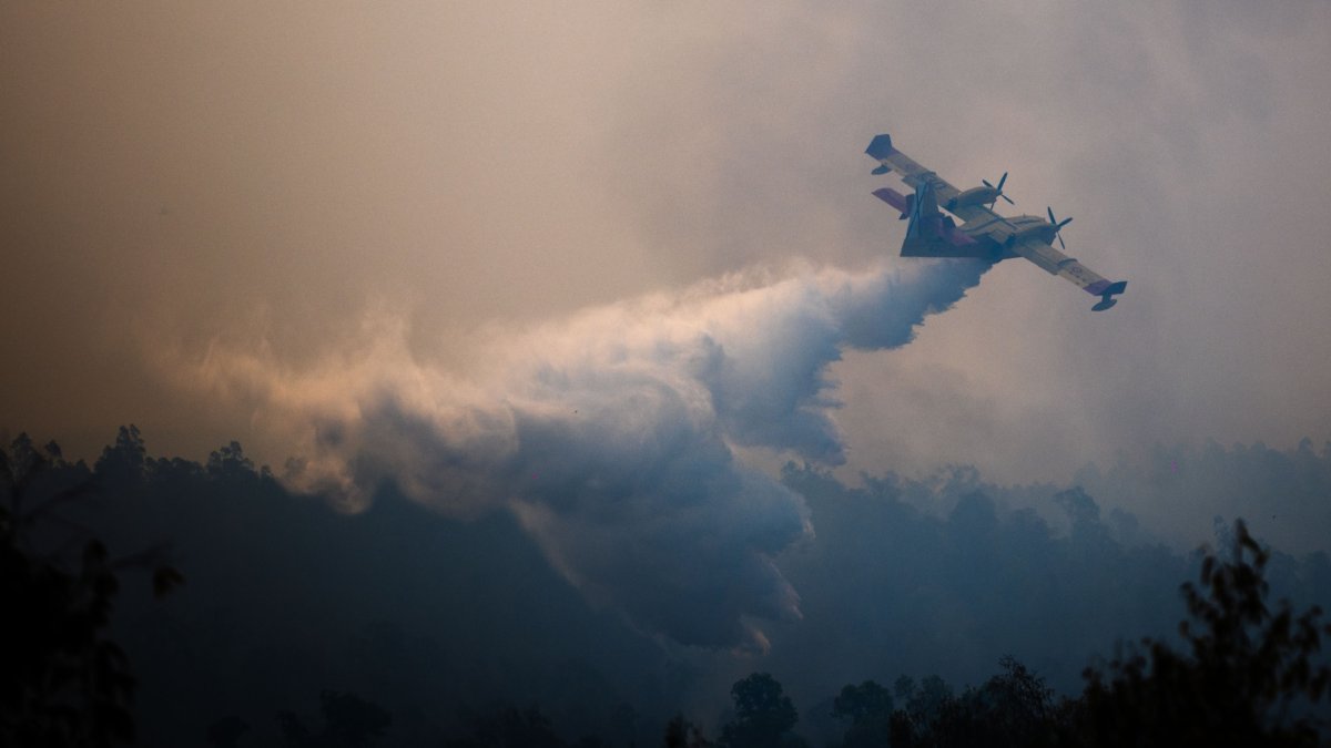 Una aeronave combate el incendio forestal declarado en la localidad onubense de Niebla.