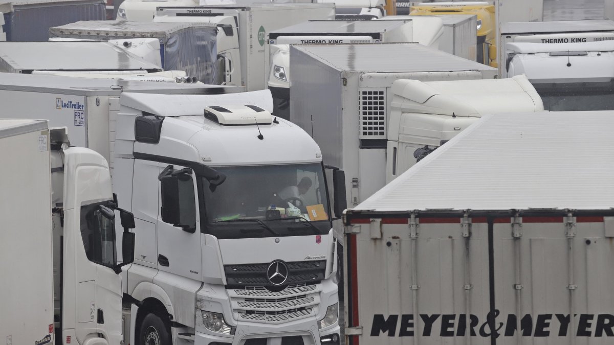 Imagen de camiones parados en los accesos al puerto de Algeciras.
Nono Rico / Europa Press
27/1/2026