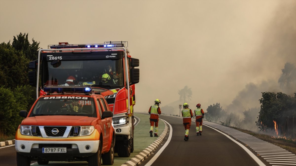 Bomberos durante la extinción de un incendio forestal en la Gola de Pujol, El Saler, Valencia