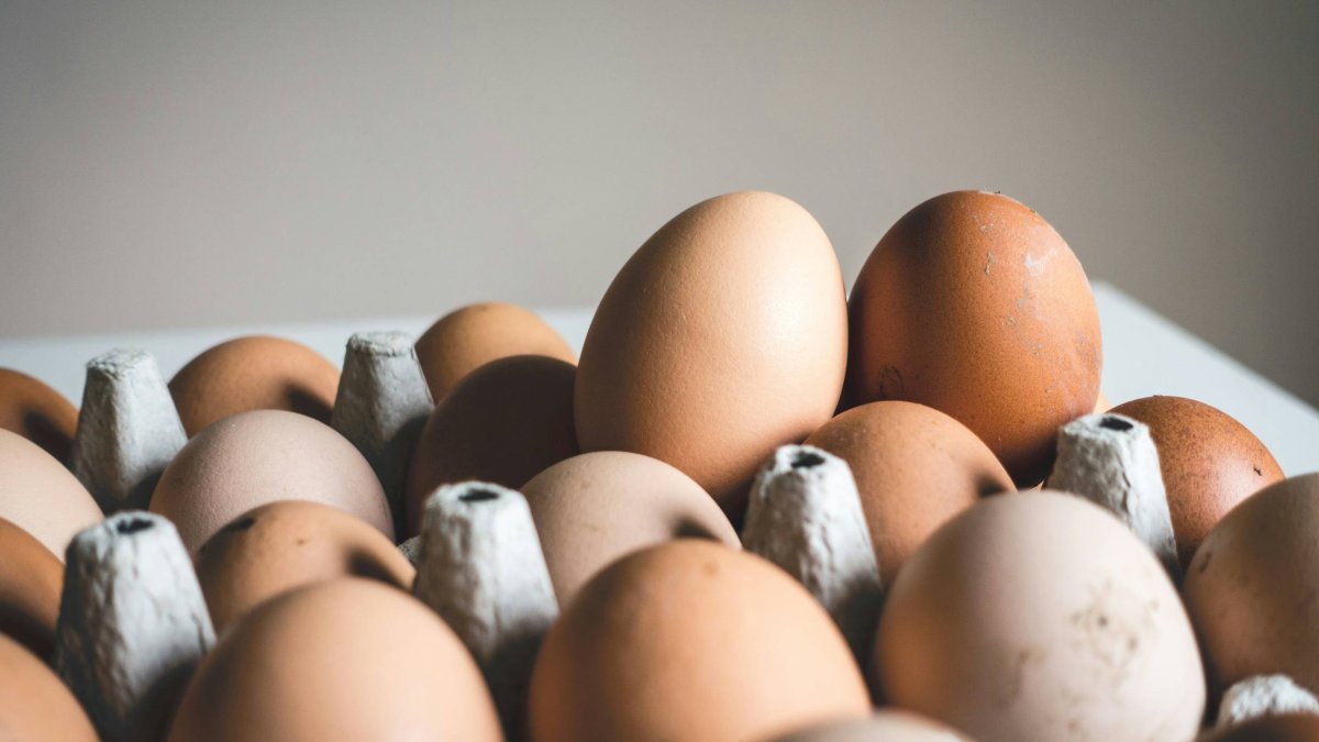 Los huevos cuestan un 12,5% más que hace un año, según los últimos datos del IPC publicados por el INE.