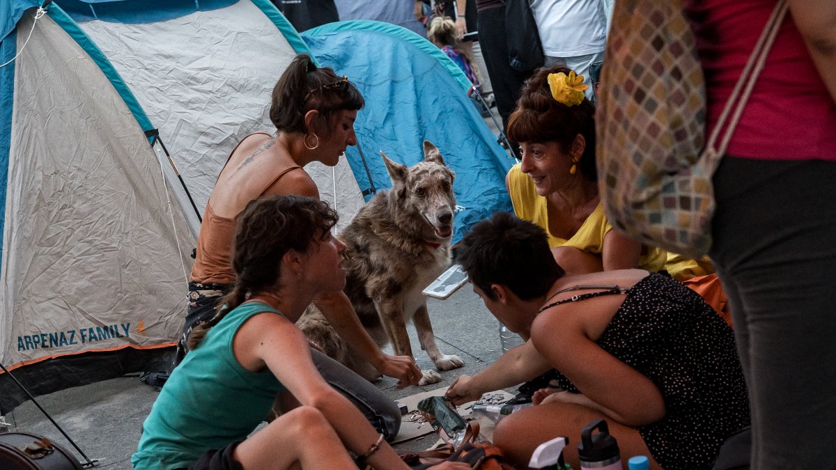 Numerosas personas pasan la segunda noche acampados en tiendas de campaña para exigir la aprobación de un decreto sobre vivienda, en la Puerta del Sol, a 27 de septiembre de 2026, en Madrid (España).
