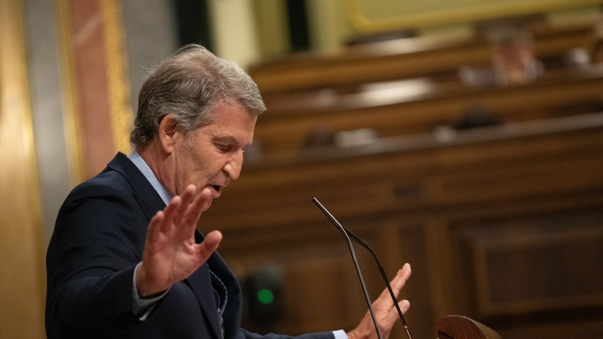 El presidente del Partido Popular, Alberto Núñez Feijóo, interviene durante una sesión plenaria en el Congreso de los Diputados