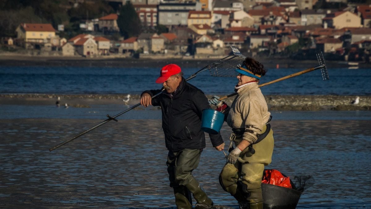La solicitud requiere estar dado de alta en el Registro Andaluz de Caza y Pesca Continental