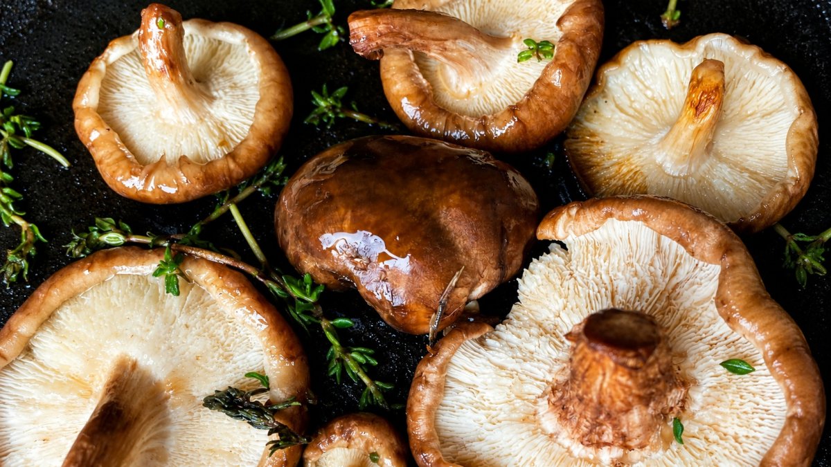 Setas cocinadas con hierbas aromáticas. Imagen de recurso.